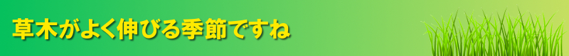 ゴミ袋がちりとりに! ちりとり捨楽