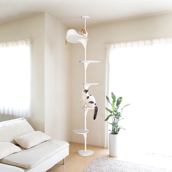 CatForest(ホワイト)