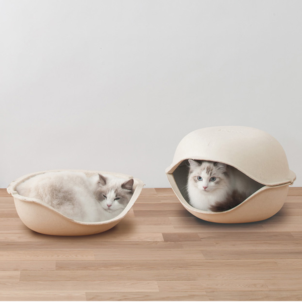 CatShell