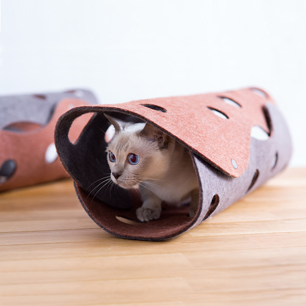 FabCat tunnel