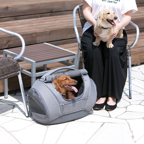 PetCarrier muna DX