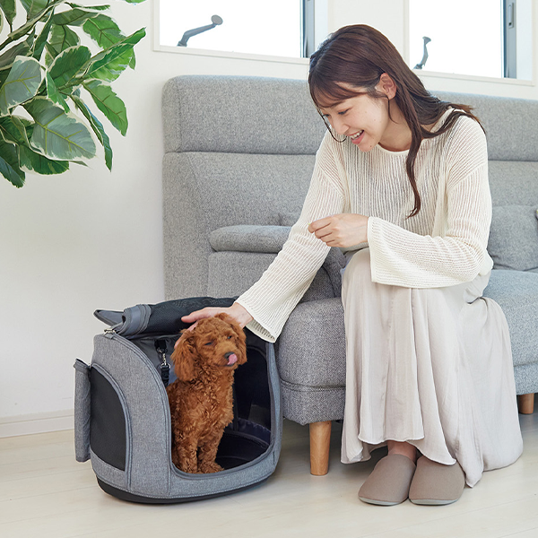 PetCarrier muna BC