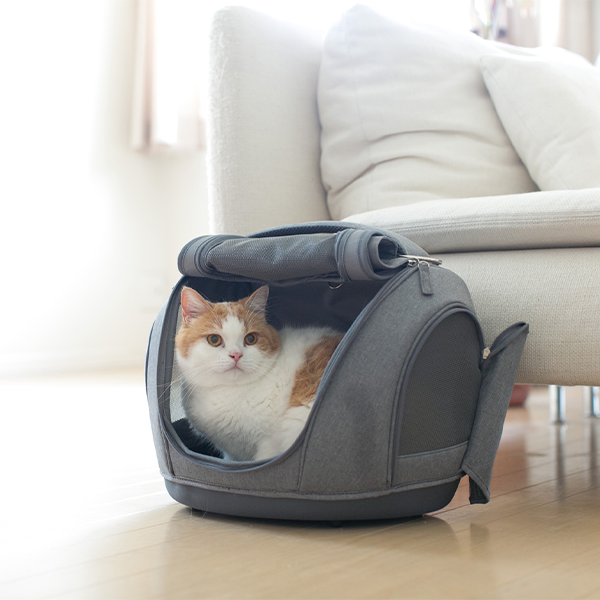 PetCarrier muna FL