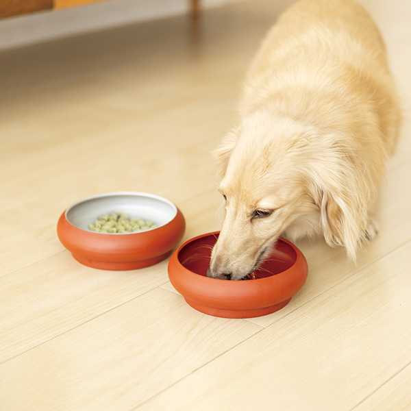 TokoBowl