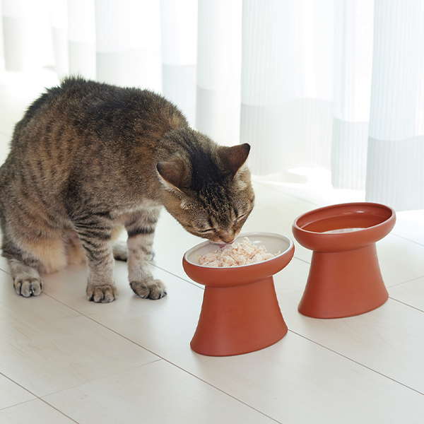 TokoBowl