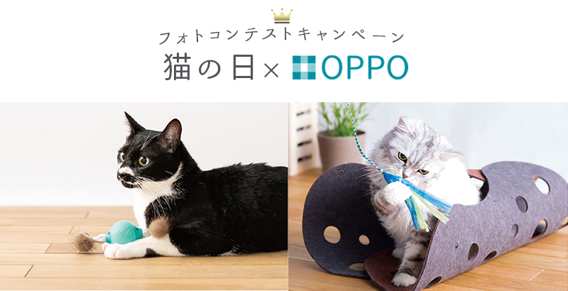 OPPO猫の日キャンペーン