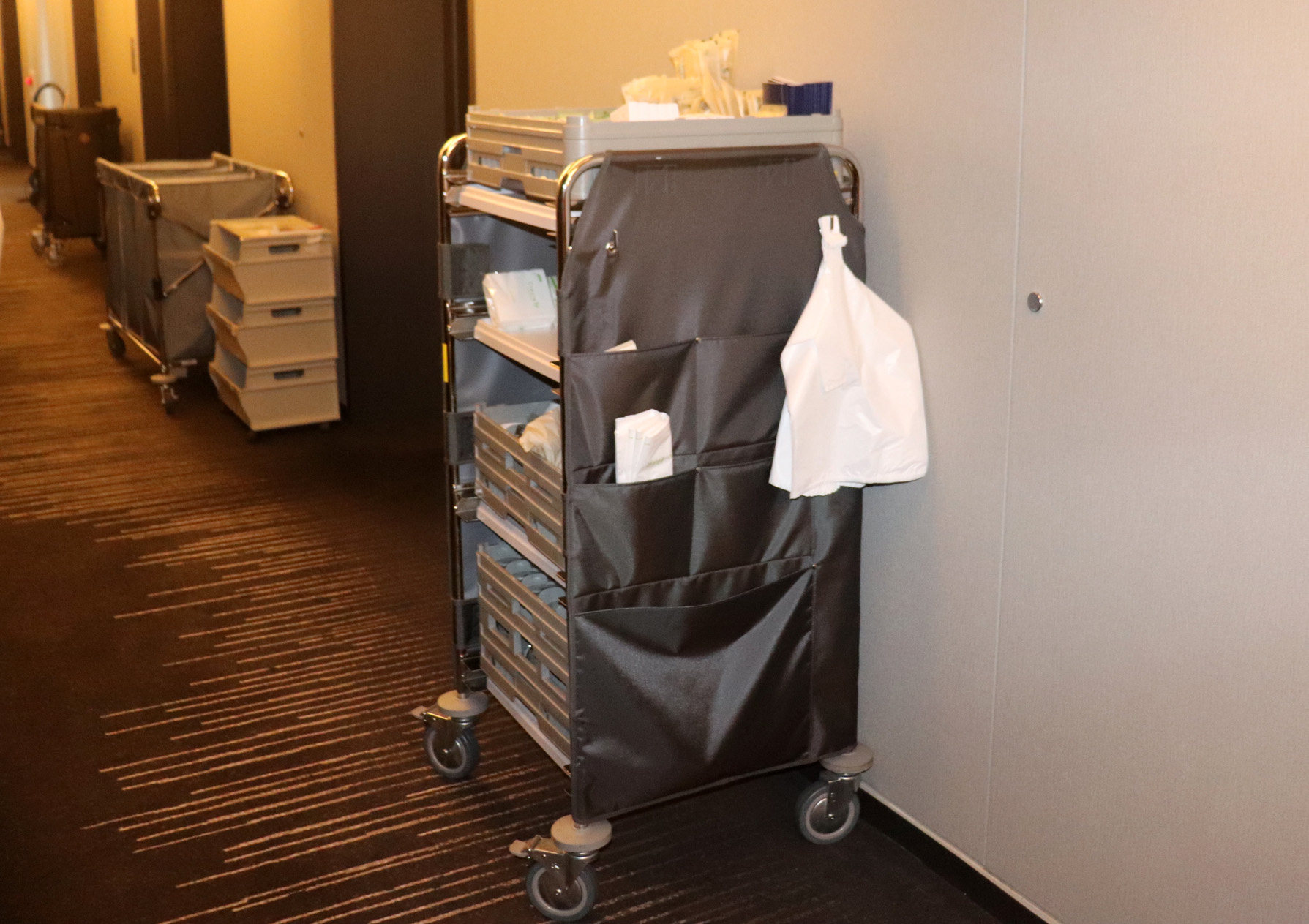 非公開: ホテルバッシングワゴン