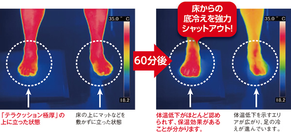 テラクッション極厚 説明