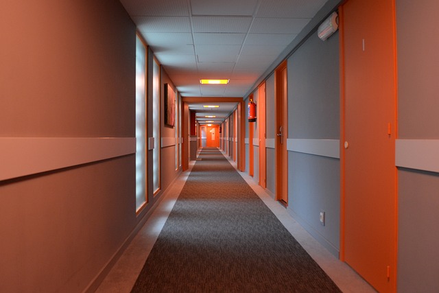 hallway-gd9949e478_640