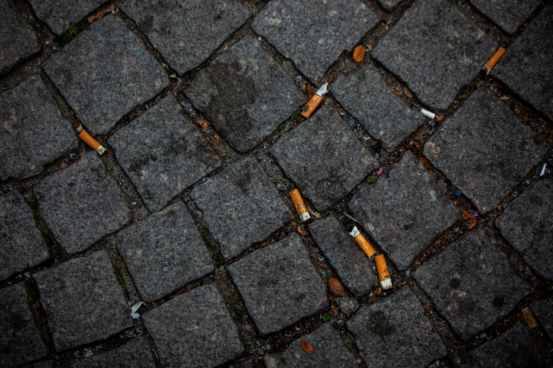 jas-min-oYmTSkzffbE-unsplash