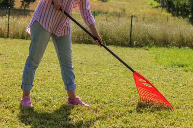 Woman raking leaves using rake. Person taking care of garden house yard grass. Agricultural, gardening equipment concept.