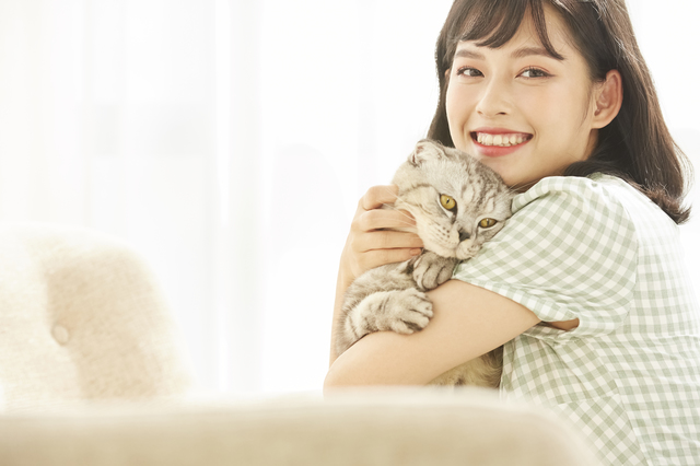 猫の抜け毛対策!換毛期を注意すべき猫種とおすすめのお手入れと掃除